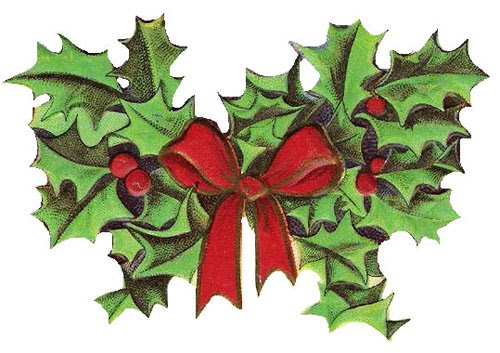 clipart of christmas holly - photo #42