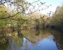 Spring Mill Pond