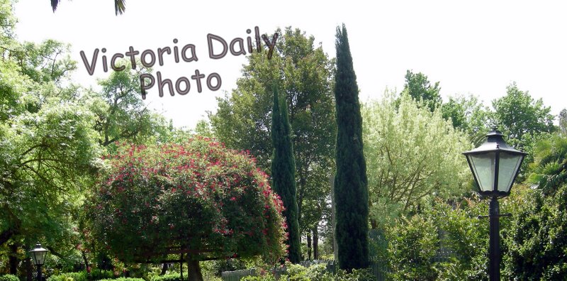 Victoria Daily Photo