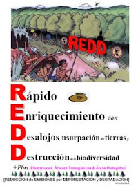 REDD Book - Spanish (PDF)