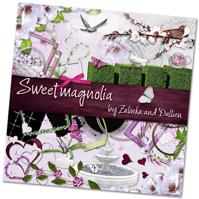 http://2.bp.blogspot.com/_X5xa74kAQjs/SnGQ6K2ad5I/AAAAAAAAAWs/iq0O4EamI4w/s400/Zalinka-Dallien+magnolia+elements+preview+kopie.png