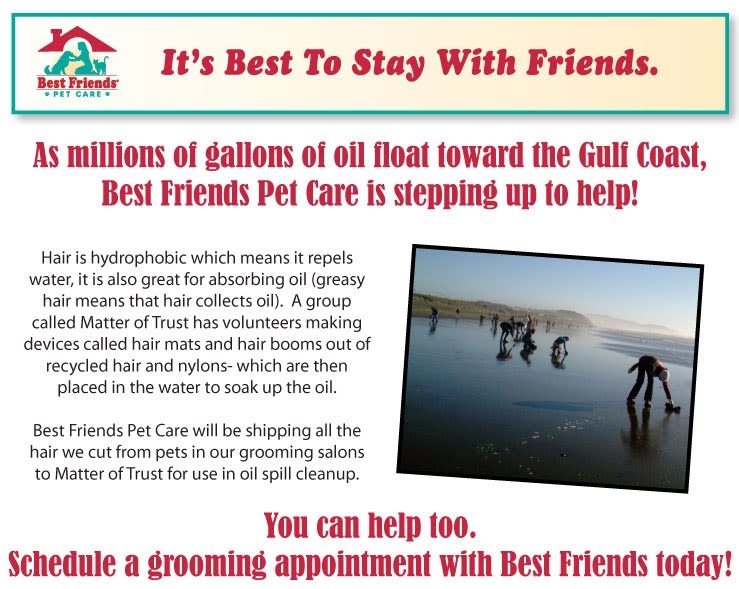 Best Friends Cinnaminson