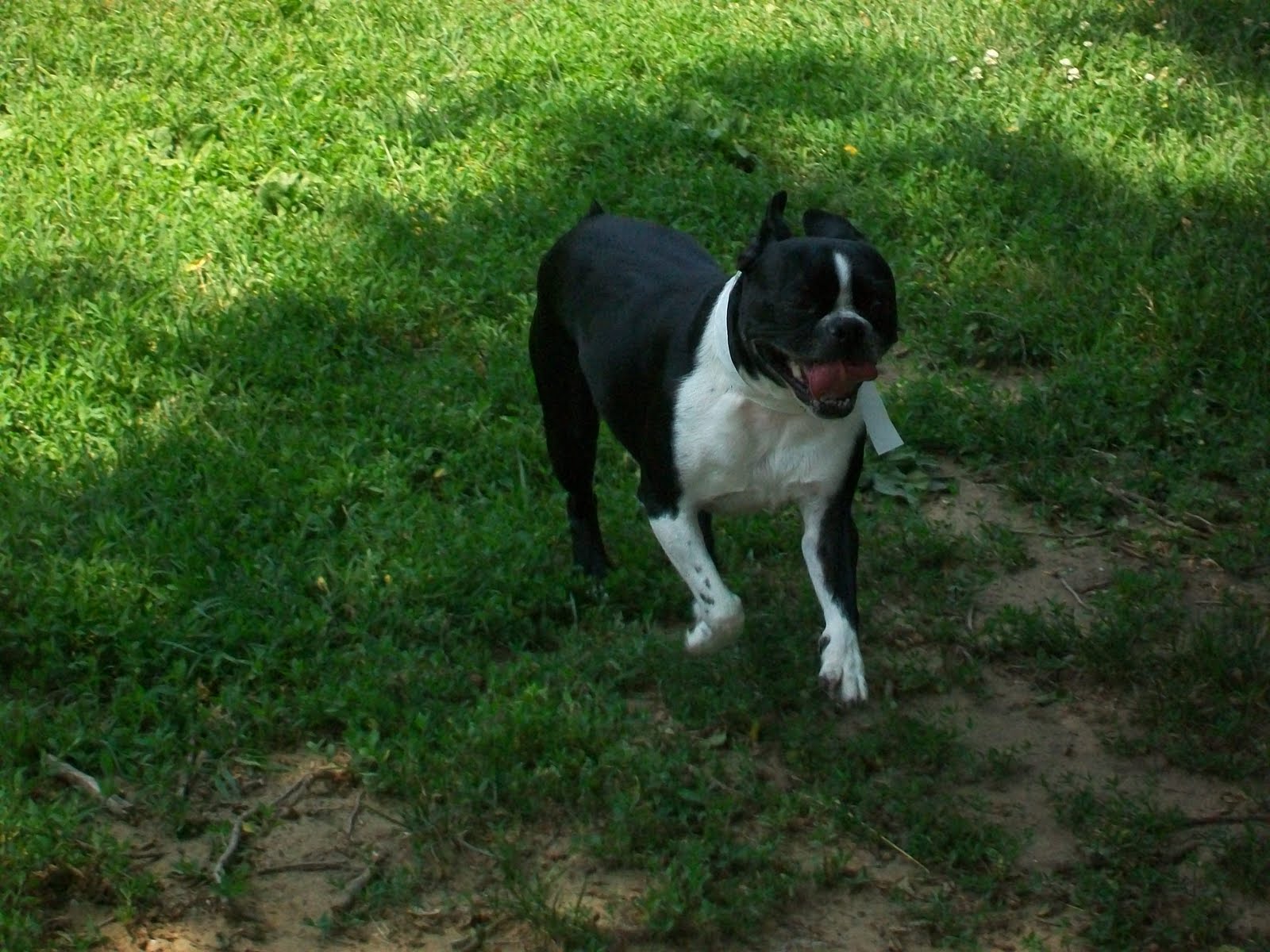 Best Friends Cinnaminson