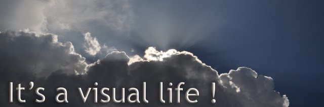 It's a visual life!