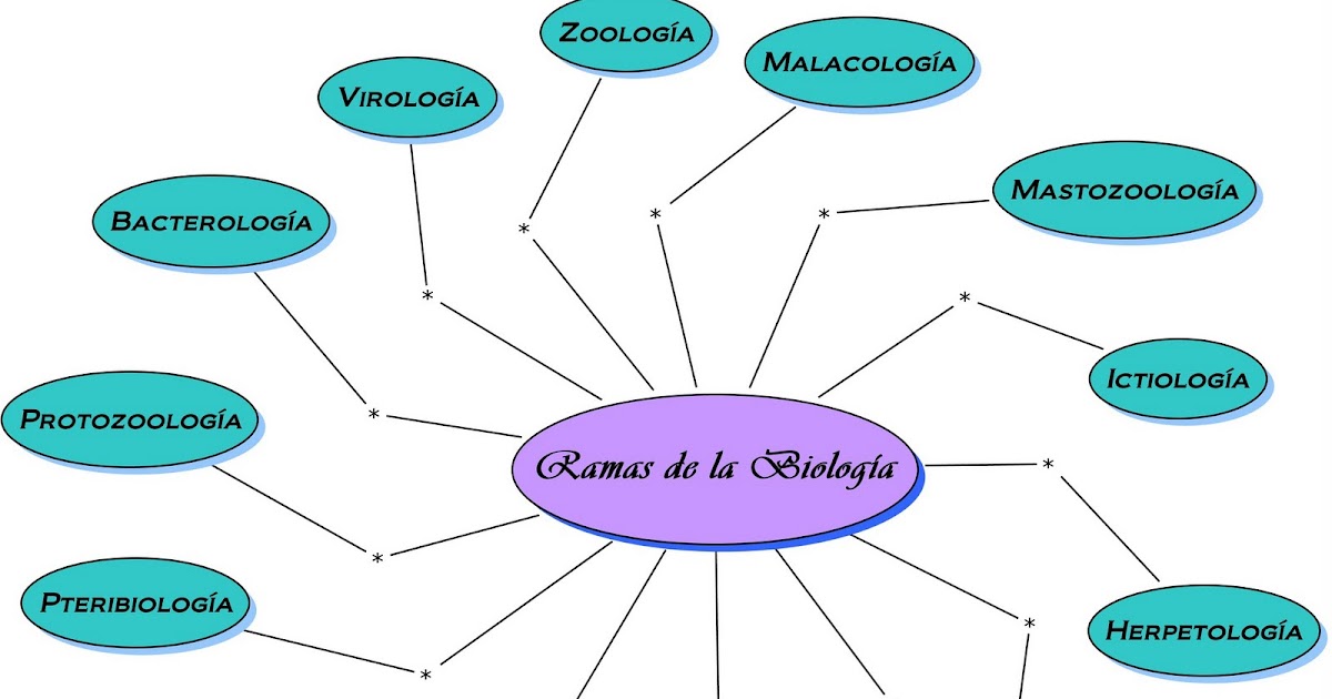 48 Mapa Conceptual De Las Ramas De La Biología Most Complete Campor