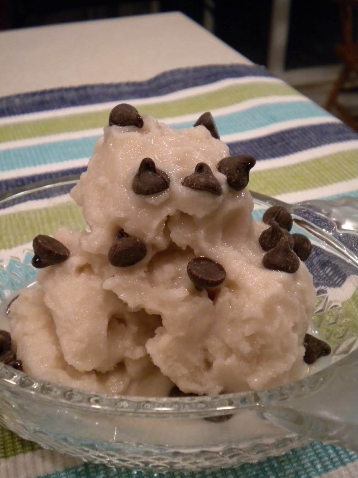 Vegan Culinary Adventures Homemade Ice Cream in a bag and Vegan