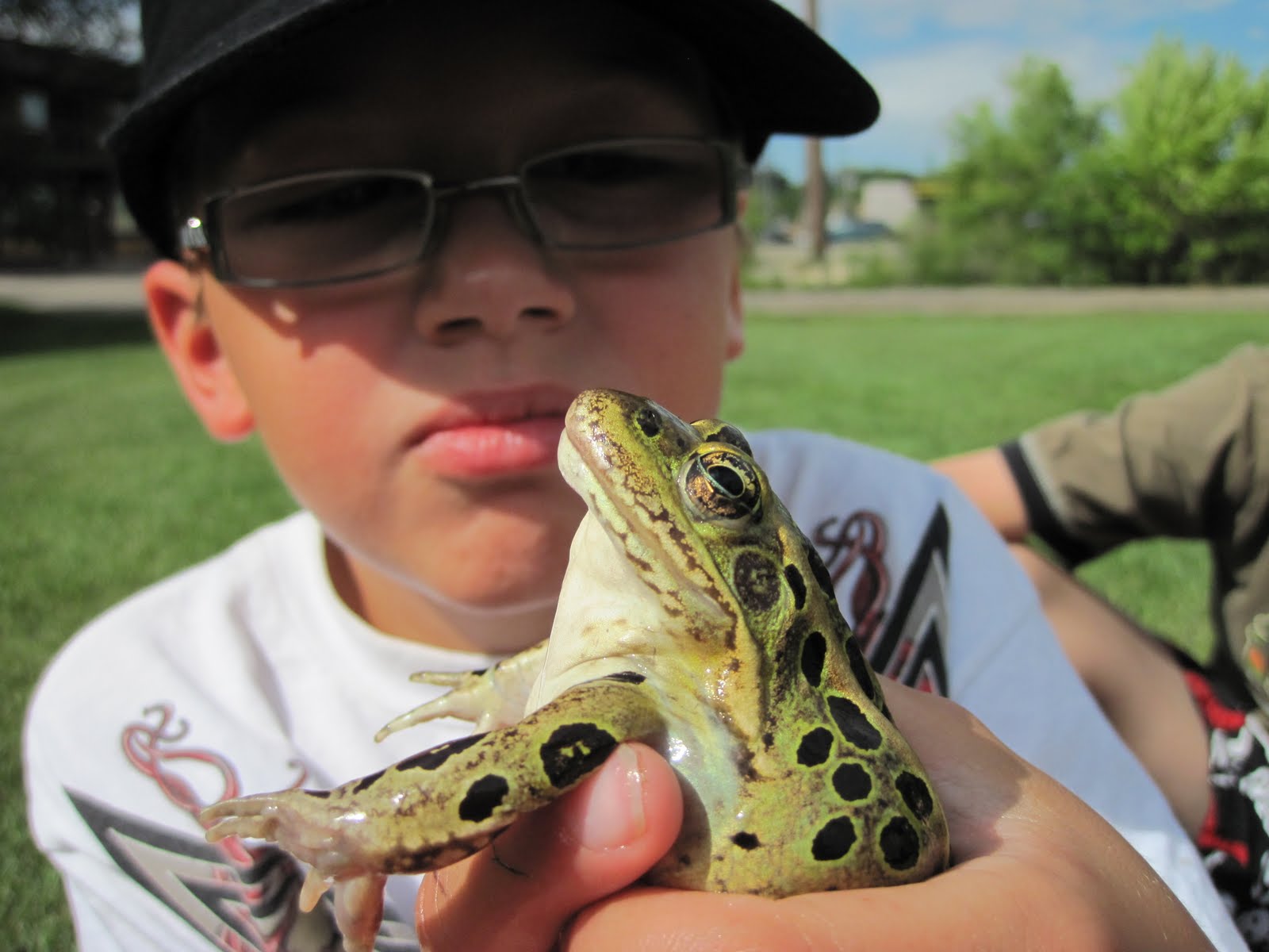 The Boys Of Summer: BIG FROG!