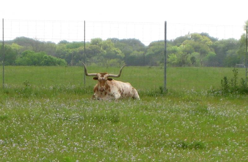 Where The Hell Is Murph Benini Sculptures Near