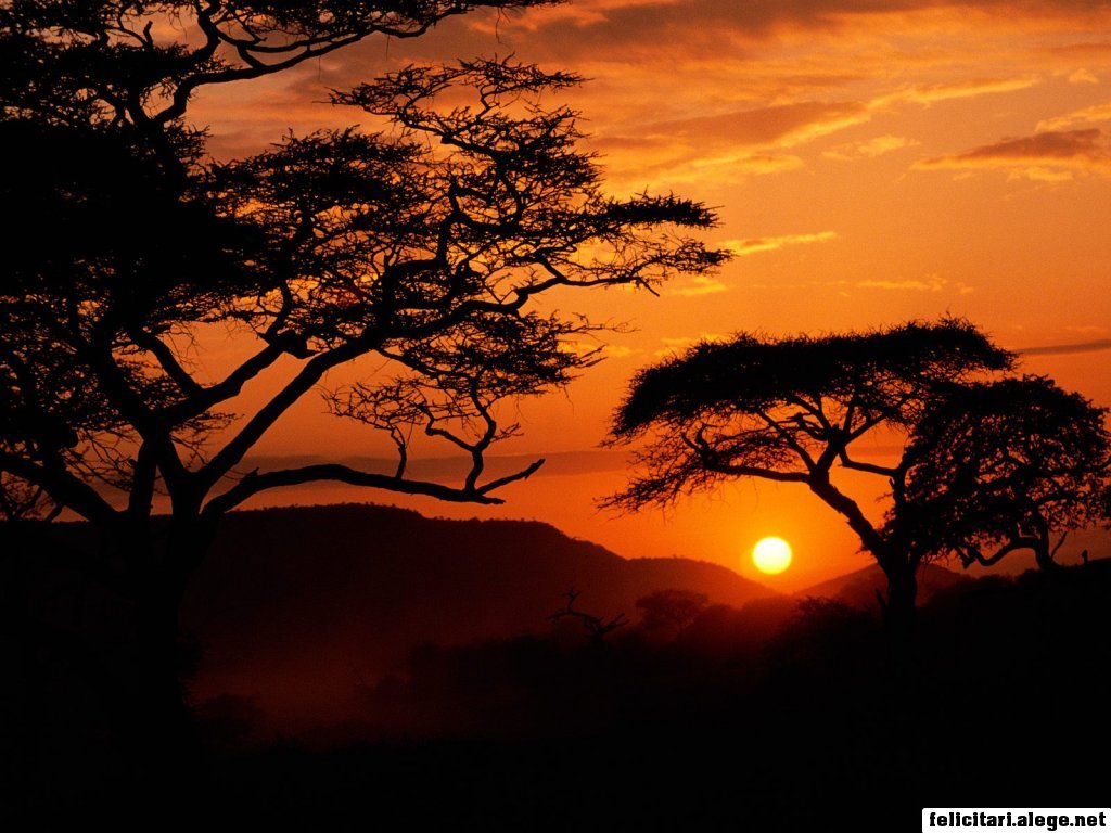http://2.bp.blogspot.com/_XD2eX4kErAM/TF0nMnVUayI/AAAAAAAAAJA/bH_AB_jjj4k/s1600/serengeti-national-park-sunset-tanzania_1024.jpg