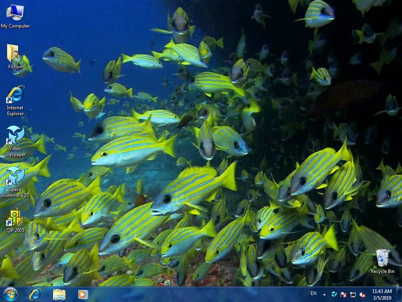 How to put a video as the wallpaper background MonkeyWithTheHat