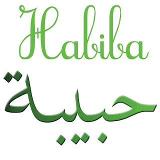 Habiba Net Worth