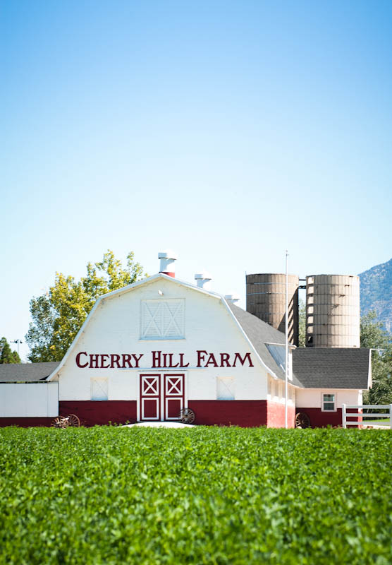 Alisha Marie Photography Cherry Hill Farm