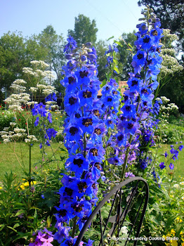 Delphinium and Valerian