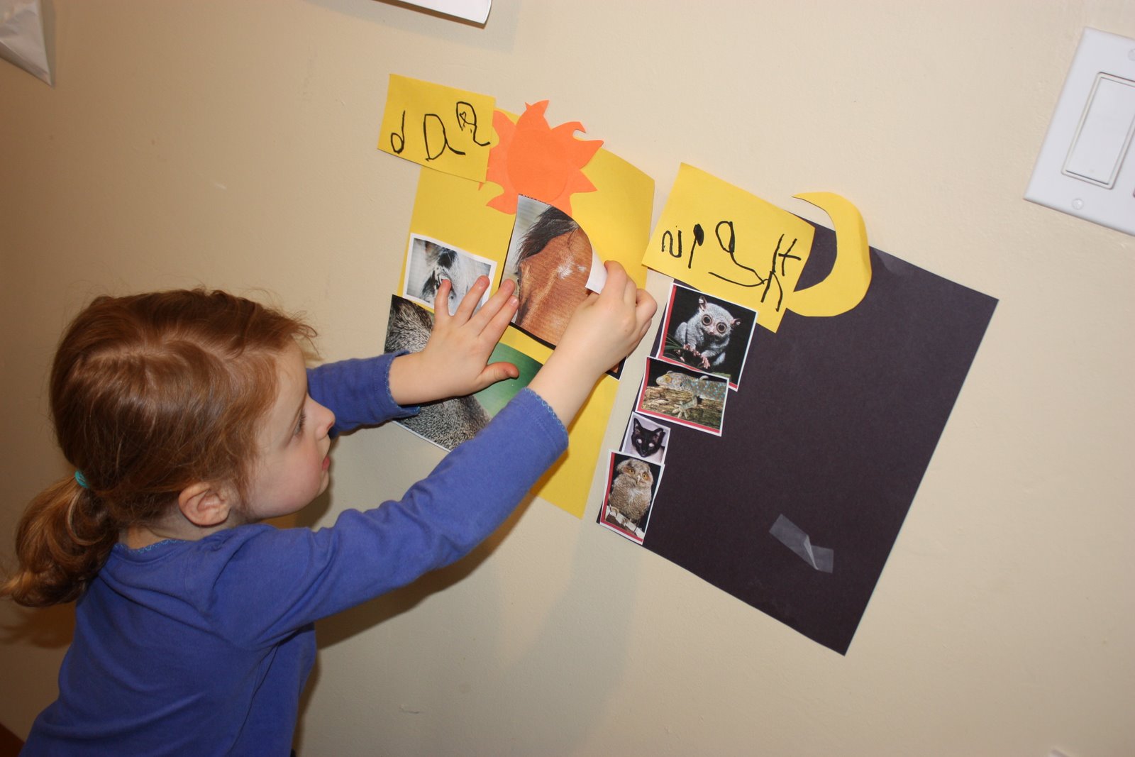 Fun Crafts for Preschoolers: Science Lesson: Eyes Made for Day and Night