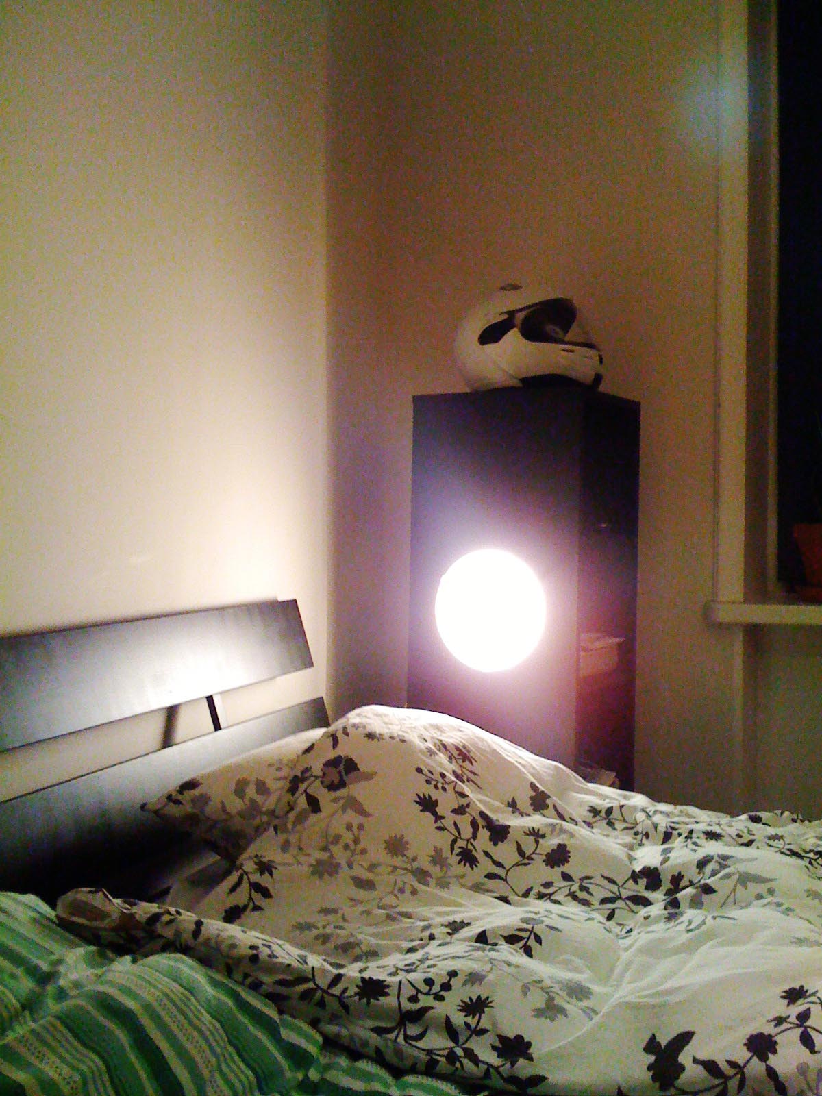 [at_nite-723260.jpg]