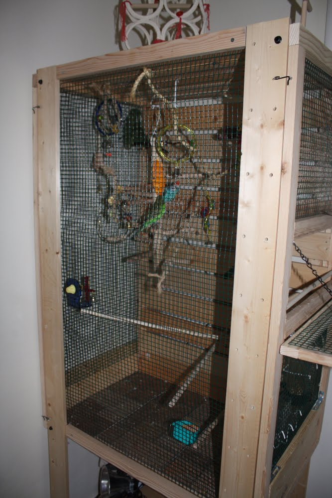 [newbirdhabitat2-745857.JPG]