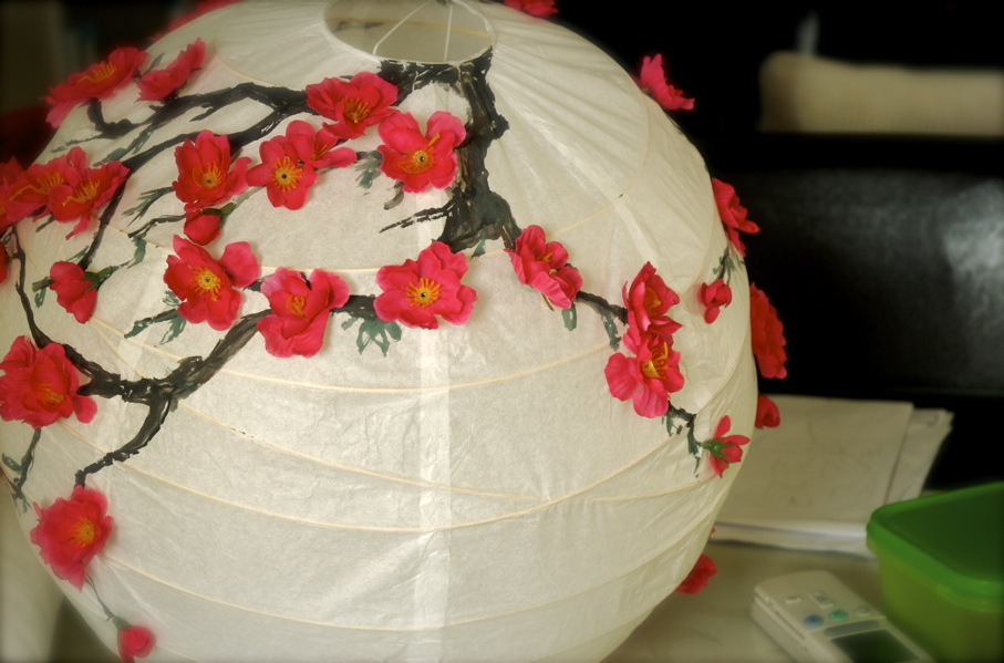 [_DSC0010-799177.jpg]