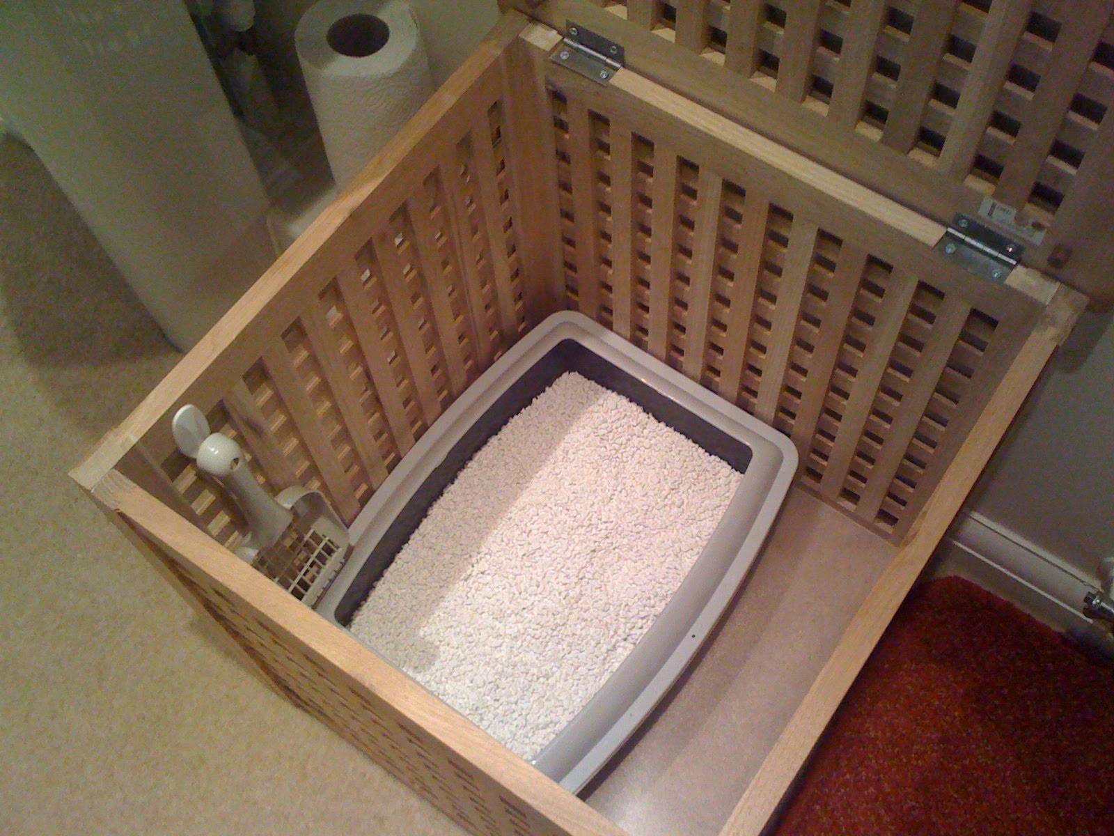 [IMG_0068-770674.JPG]