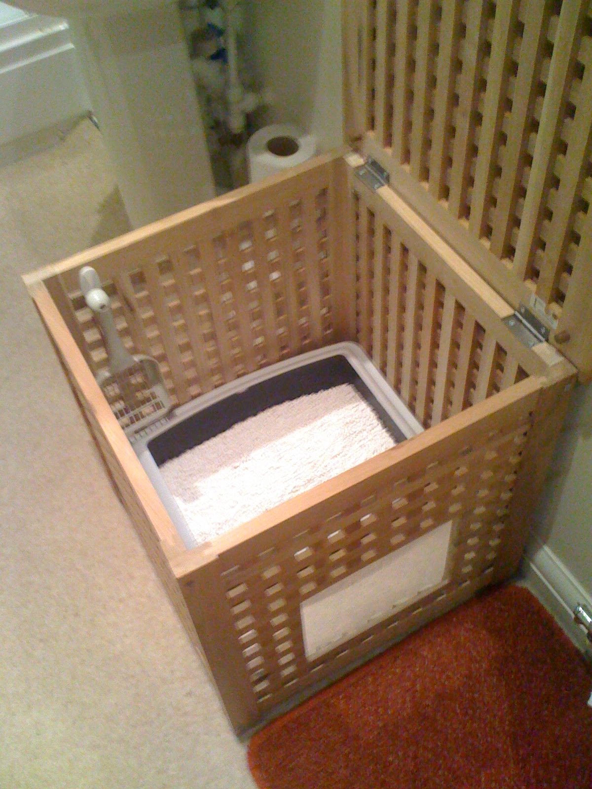 [IMG_0067-768236.JPG]