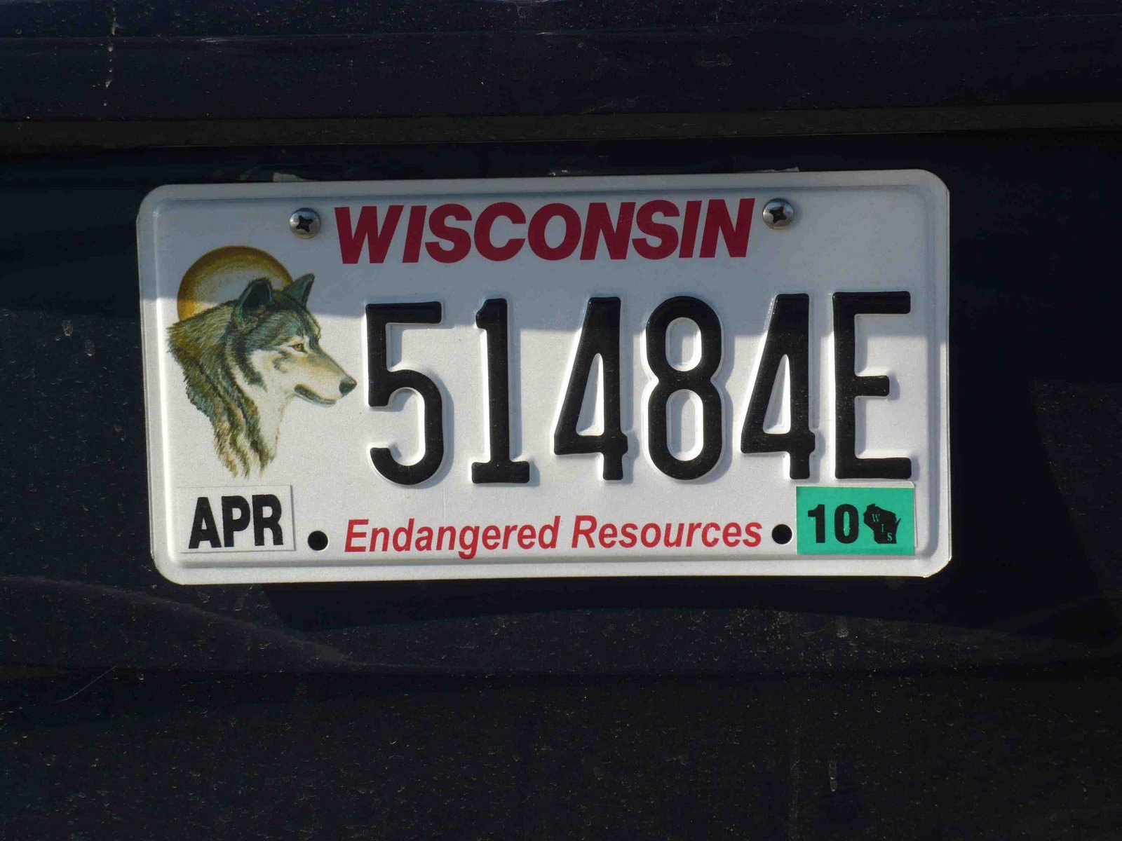 [Wisconsin+loup.jpg]