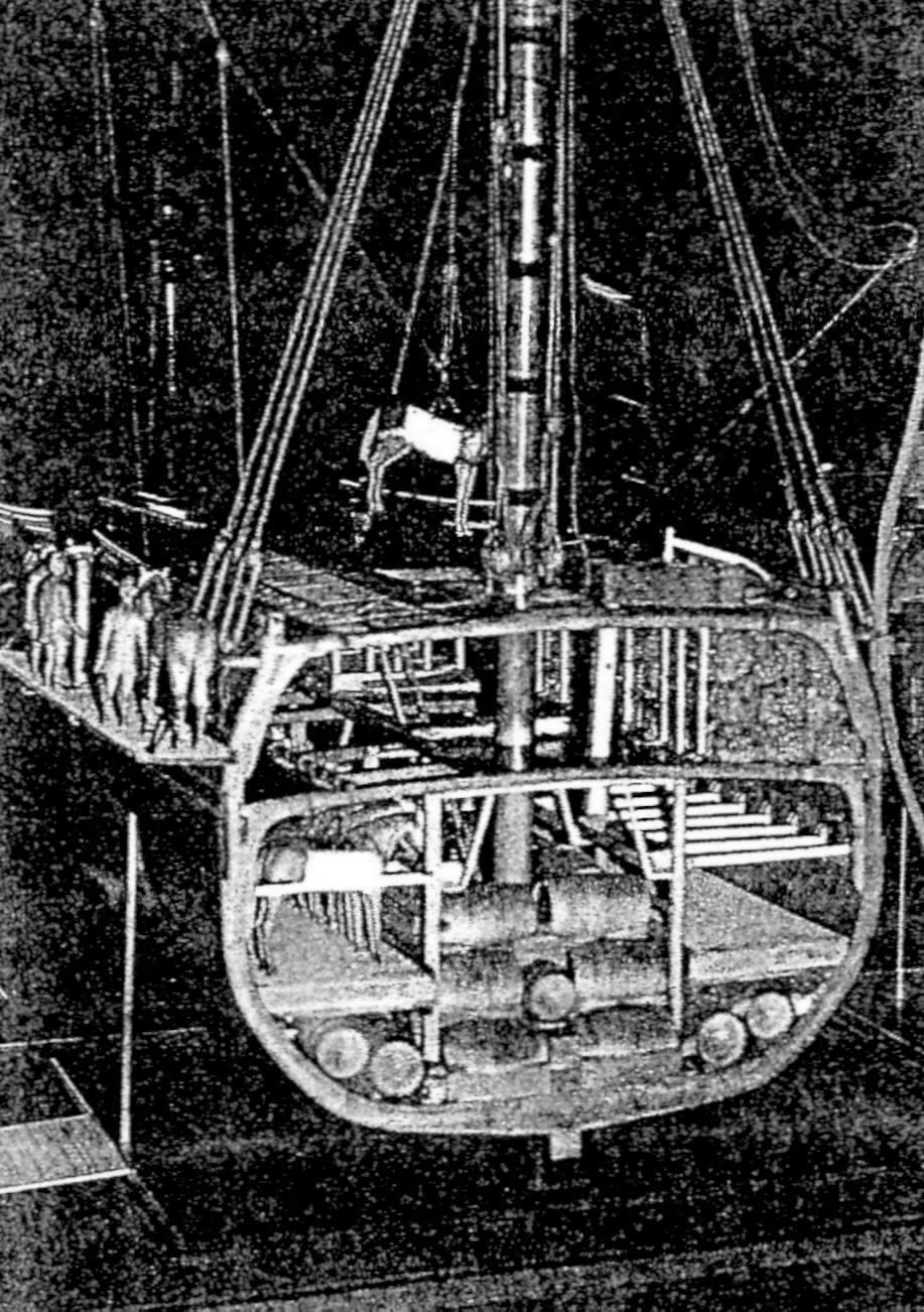 Anne Arundel's Horses Transporting Horses