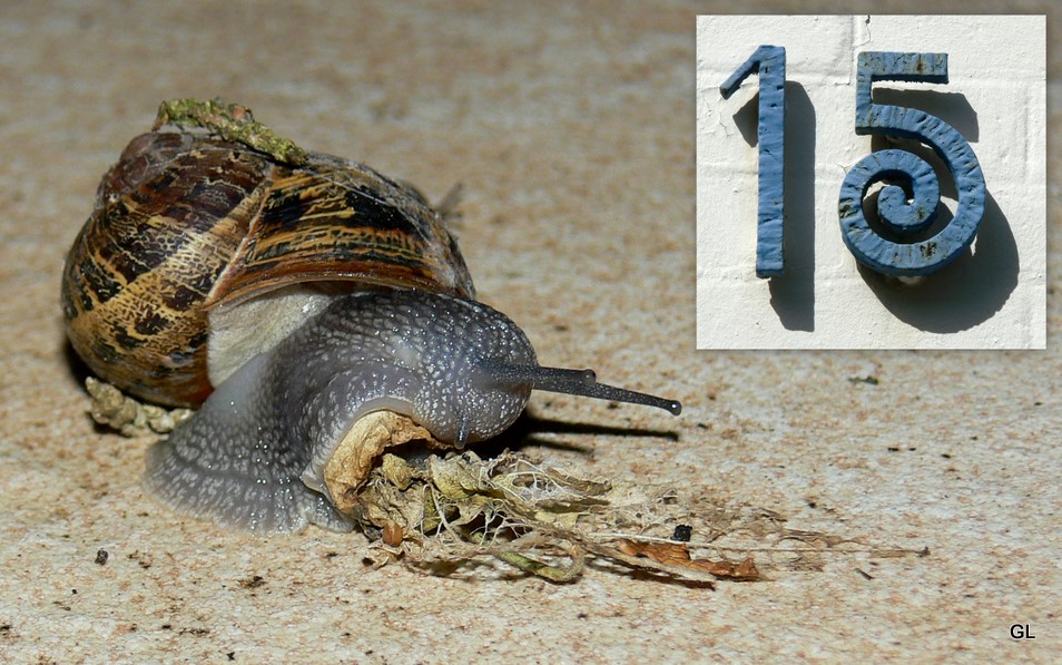 Havre Aplemont photo Je frappe au numéro 15, je d