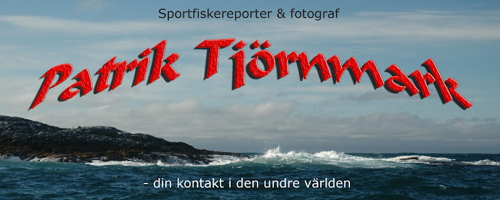 Sportfiskejournalist & fotograf