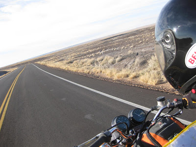 riding through the petrified forest, driving riding through the petrified forest, driving