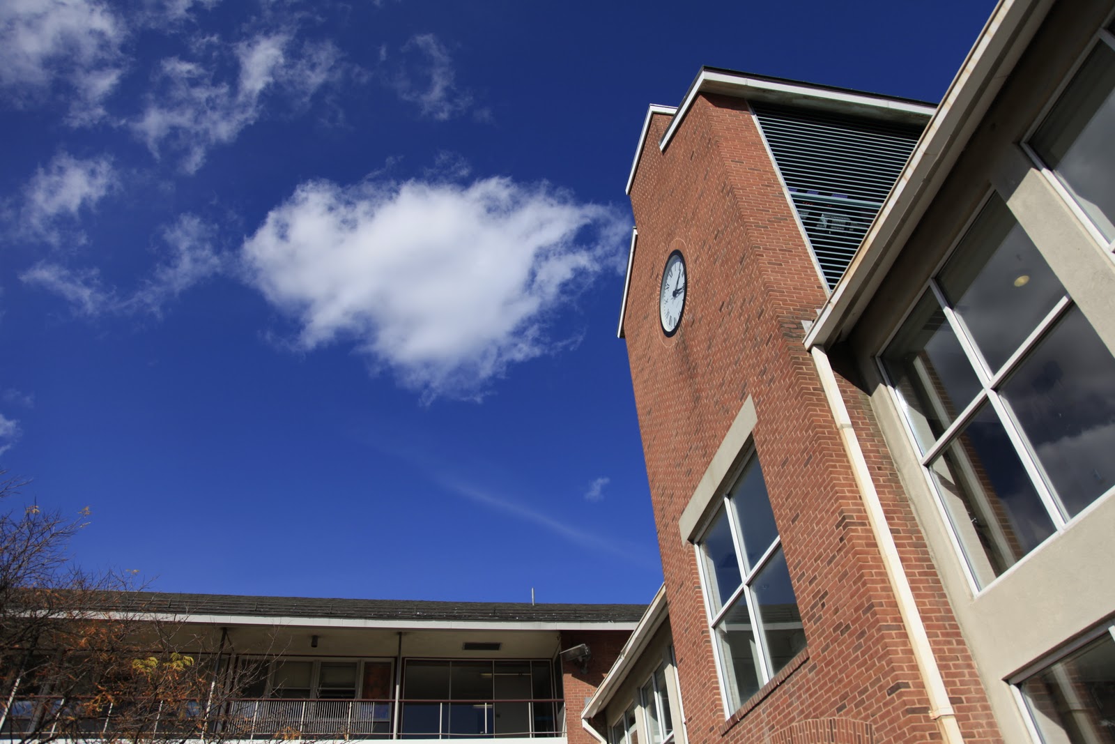 I'm so FRANK on... Rhode Island School of Design(RISD)