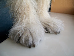 The abominable snowman feet???