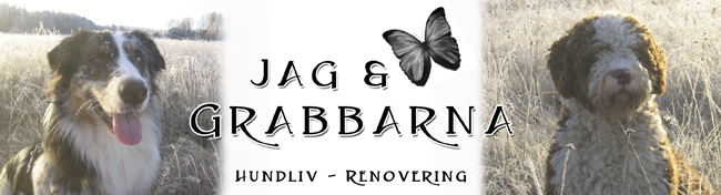 JAG & GRABBARNA