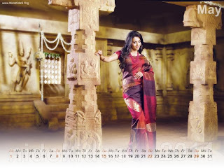 New Year 2011 Calendar, Hot Trisha Desktop Wallpapers