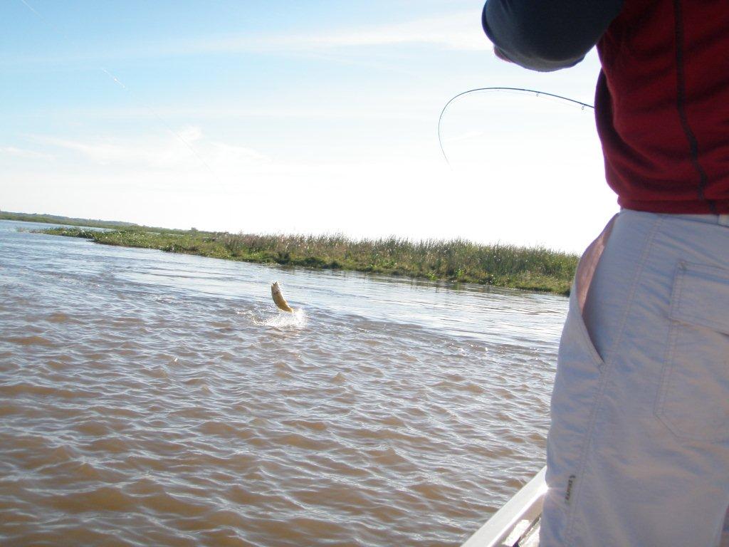 Argentina Waters fly fishing outfitters in Esquel and Rio Pico