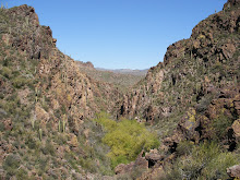 'Cowl Creek Canyon'