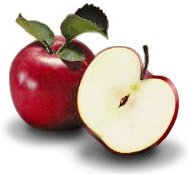 [leb-i+derya+elma+(2).jpg]