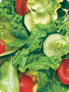 [salad_main.jpg]