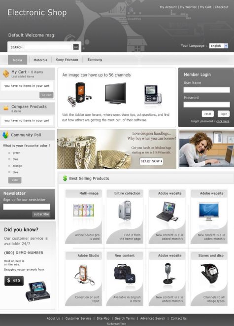Resume ecommerce website