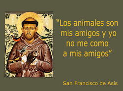SAN FRANCISCO DE ASIS