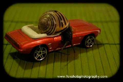 Why Used Car Sales Down Why Used Car Sales Down