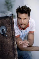 Ricky Martin diz em jantar pró- LGBT que tem orgulho de ser ativista