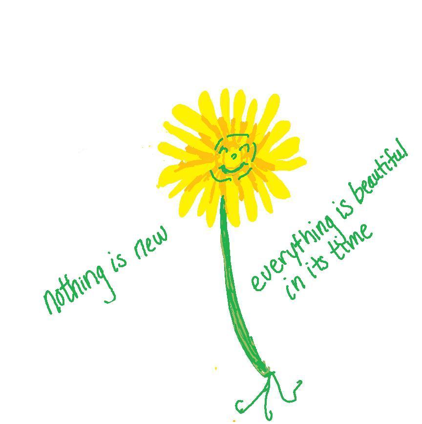 the little dandelion under the sun