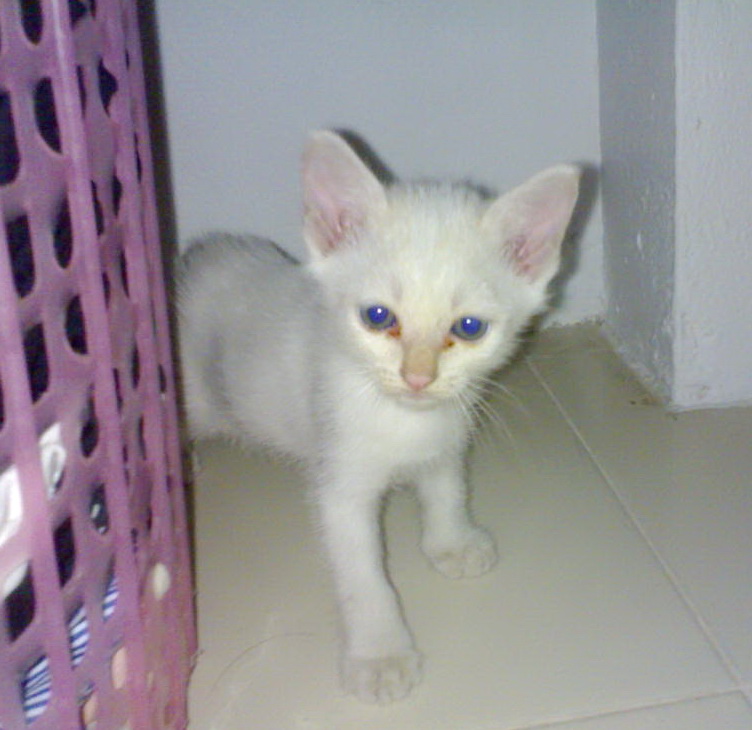 My Image 9