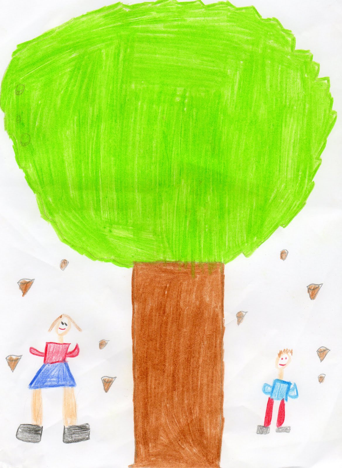 [CASTANHEIRO+FONT.jpg]