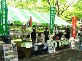 Oisca standi - green park