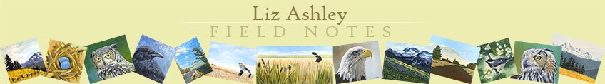 Liz Ashley :: Field Notes