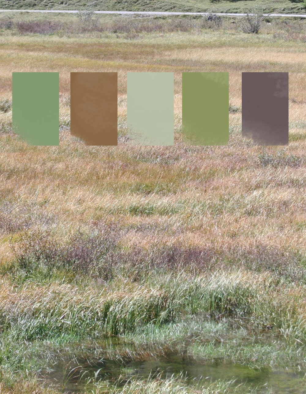 [mountain-swamp-colour-palet.jpg]