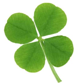 [4-leaf-clover.jpg]