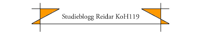 Studieblogg Reidar KoH118