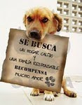 Adopta una Mascota