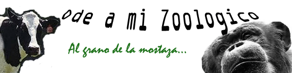 Ode a mi zoologico
